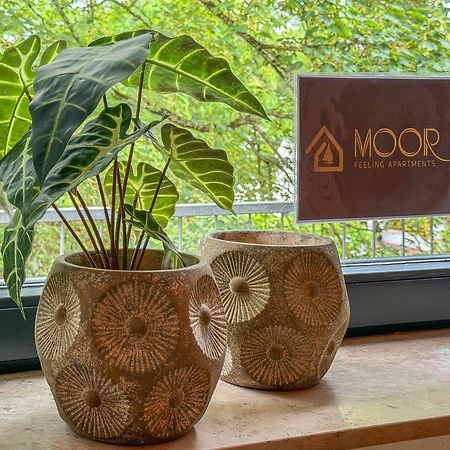 Moor Feeling Apartments Worpswede Bagian luar foto