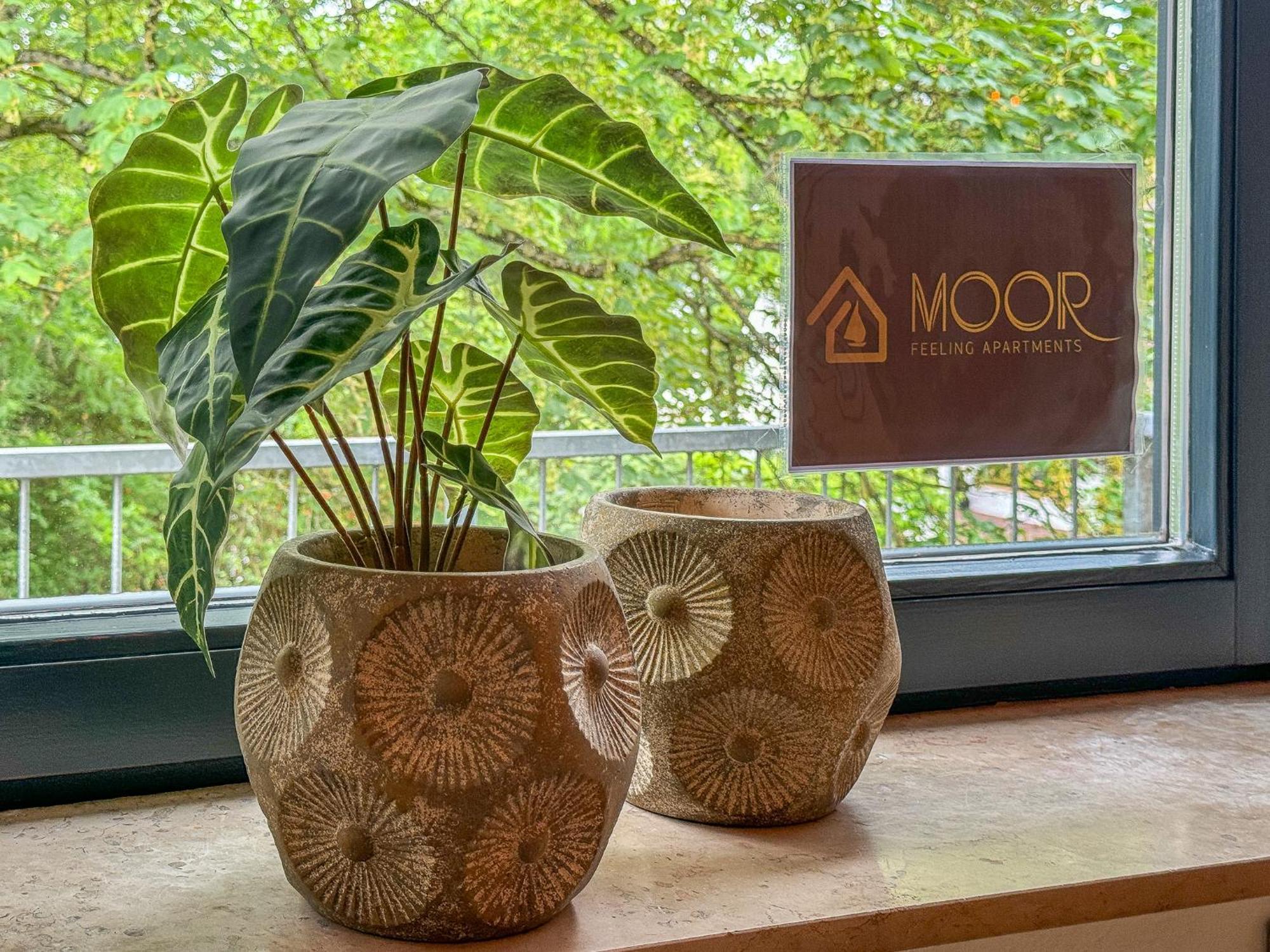 Moor Feeling Apartments Worpswede Bagian luar foto